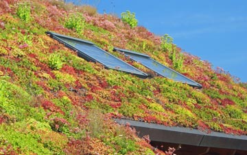 Bealsmill living roof systems