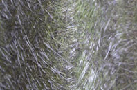 Bealsmill fibreglass roof work